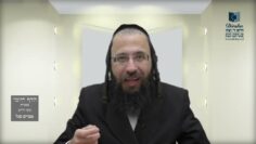 הדף היומי בעברית מסכת חולין דף נח