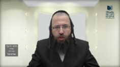 הדף היומי בעברית מסכת חולין דף סב
