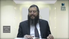 הדף היומי ירושלמי מסכת חגיגה דף ד