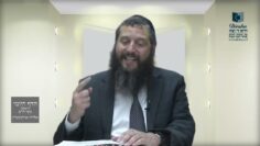 הדף היומי ירושלמי מסכת חגיגה דף ה
