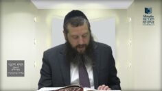 הדף היומי ירושלמי מסכת חגיגה דף ז