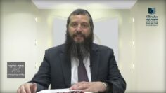הדף היומי ירושלמי מסכת חגיגה דף ח
