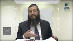הדף היומי ירושלמי מסכת חגיגה דף י