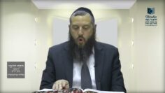 הדף היומי ירושלמי מסכת חגיגה דף יא