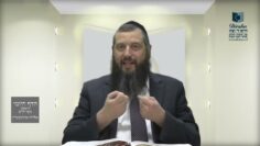 הדף היומי ירושלמי מסכת מגילה דף כח
