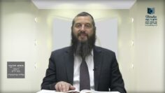 הדף היומי ירושלמי מסכת מגילה דף כט