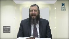 הדף היומי ירושלמי מסכת מגילה דף מא