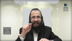 העמוד היומי בעברית מסכת יומא דף יט עמוד א