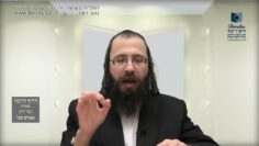 העמוד היומי בעברית מסכת יומא דף כח עמוד א