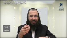 העמוד היומי בעברית מסכת יומא דף כח עמוד ב