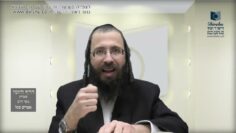 העמוד היומי בעברית מסכת יומא דף כט עמוד ב