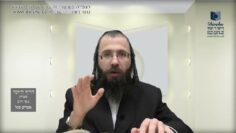 העמוד היומי בעברית מסכת יומא דף לא עמוד א