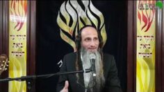 הרב מאור קריו הגות לבי תבונות