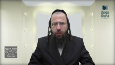 חפץ שבעליו נסעו לעיר אחרת לשבת האם מותר לטלטלו בכל