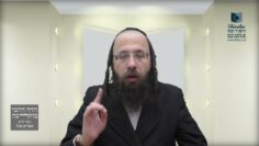 מדוע לא ניתן לחלק 'מבוי' לשני 'שיתופי מבואות'?- שצ"ב ה'