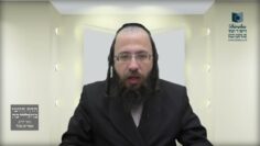 מהו 'עיבורהּ של עיר'?- שצ"ח ה' - ו'