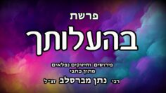 פרשת בהעלותך