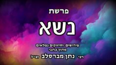 פרשת נשא