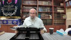 פרשת שלח. הכוח הגדול של צדיק האמת