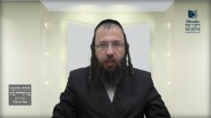 האם מספיק מזון שתי סעודות עבור עירוב תחומין לכל בני
