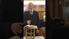 בדיקה למעשה של סימני כשרות לחגב.🦗