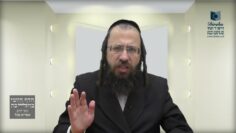 בחר מדוע עירובי תחומין נקראים בשם זה?- ת"ח א'