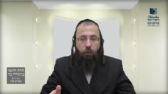האם מועיל לעירובי תחומין מאכל שהוא ספק איסור?- ת"ט ה'