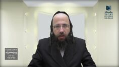 האם מותר לערב עירובי תחומין כדי לקבל פני חברו שבא