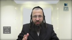הדף היומי בעברית מסכת חולין דף סה