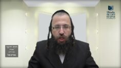הדף היומי בעברית מסכת חולין דף סז