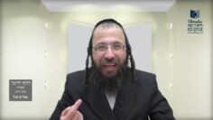 הדף היומי בעברית מסכת חולין דף סט