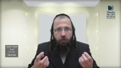 הדף היומי בעברית מסכת חולין דף עב