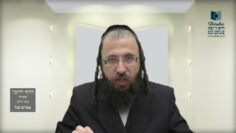 הדף היומי בעברית מסכת חולין דף עז