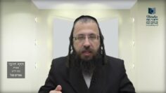 הדף היומי בעברית מסכת חולין דף פ