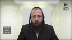 הדף היומי בעברית מסכת חולין דף פא