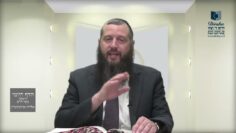 הדף היומי ירושלמי מסכת חגיגה דף טו