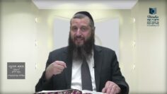 הדף היומי ירושלמי מסכת חגיגה דף יג