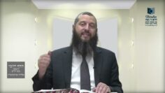 הדף היומי ירושלמי מסכת חגיגה דף יד