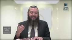 הדף היומי ירושלמי מסכת חגיגה דף יז