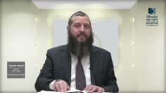 הדף היומי ירושלמי מסכת חגיגה דף יט