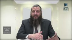 הדף היומי ירושלמי מסכת חגיגה דף כ