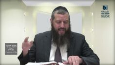 הדף היומי ירושלמי מסכת חגיגה דף כג