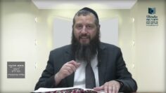 הדף היומי ירושלמי מסכת חגיגה דף כד