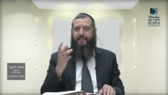 הדף היומי ירושלמי מסכת חגיגה דף כה