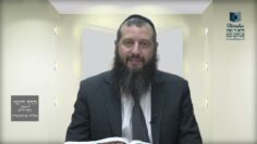 הדף היומי ירושלמי מסכת חגיגה דף כו