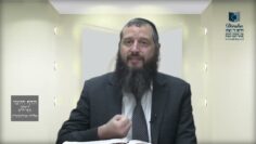 הדף היומי ירושלמי מסכת חגיגה דף כז
