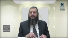 הדף היומי ירושלמי מסכת חגיגה דף כח