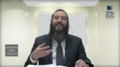 הדף היומי ירושלמי מסכת מועד קטן דף ז