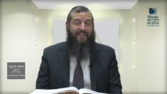 הדף היומי ירושלמי מסכת מועד קטן דף ח