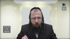 הדף היומי מסכת חולין דף פז